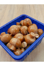 Herfstpraline -champignons marbré praliné