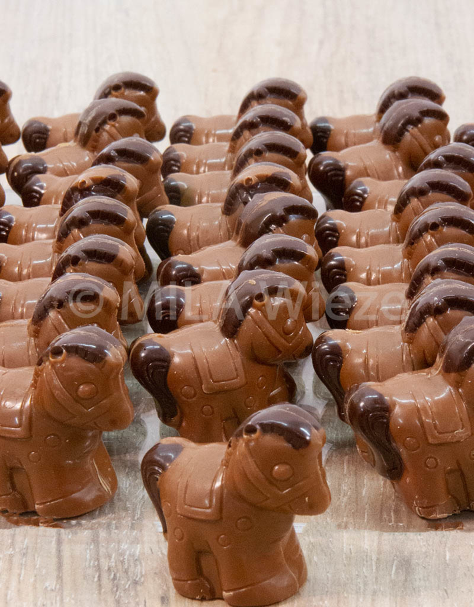 Paardje met praliné vulling - 7 stuks