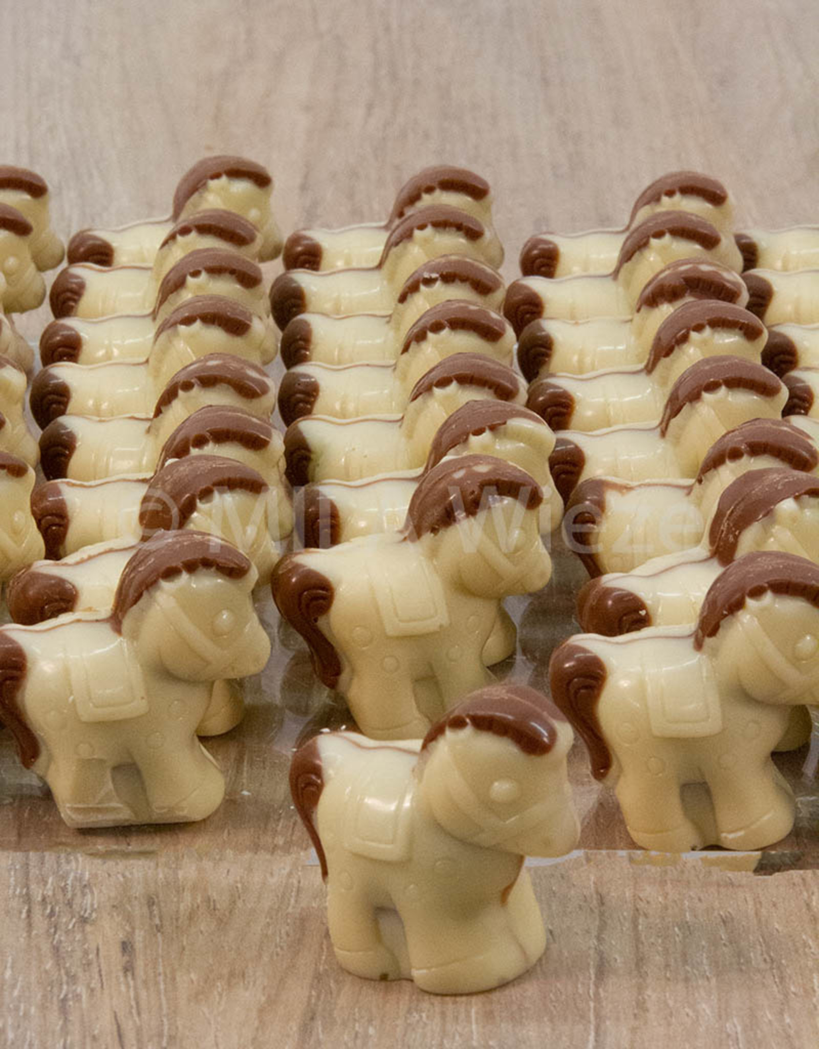 Paardje met praliné vulling - 7 stuks