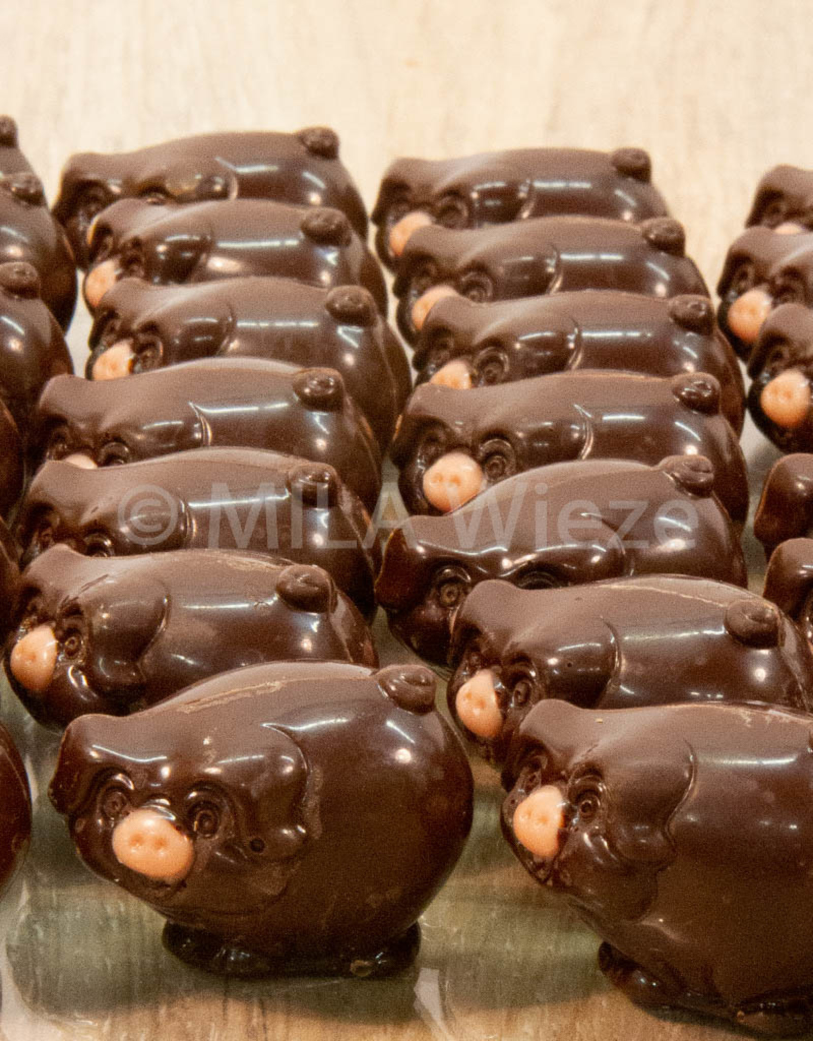 Varkentje roze snuit - melk/praliné - 7 stuks