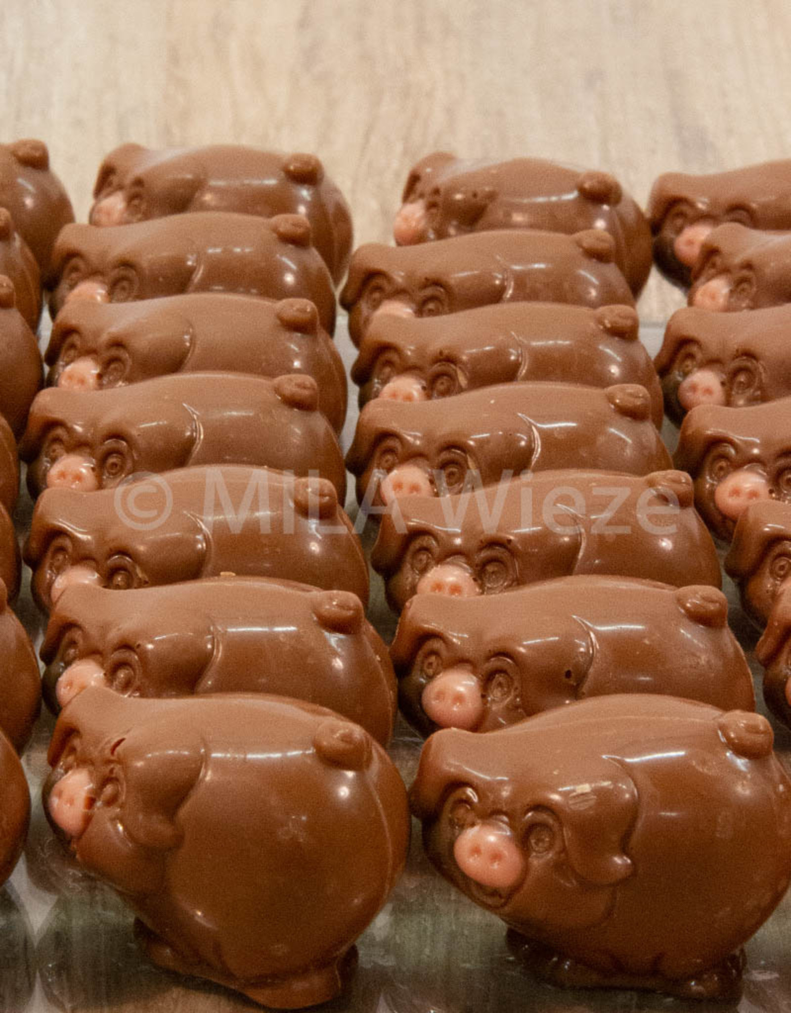 Varkentje roze snuit - melk/praliné - 7 stuks