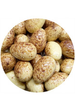 Paaseitjes Deco - Wit - Tiramisu