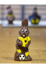 Sporthaasjes - deco - 90 gr