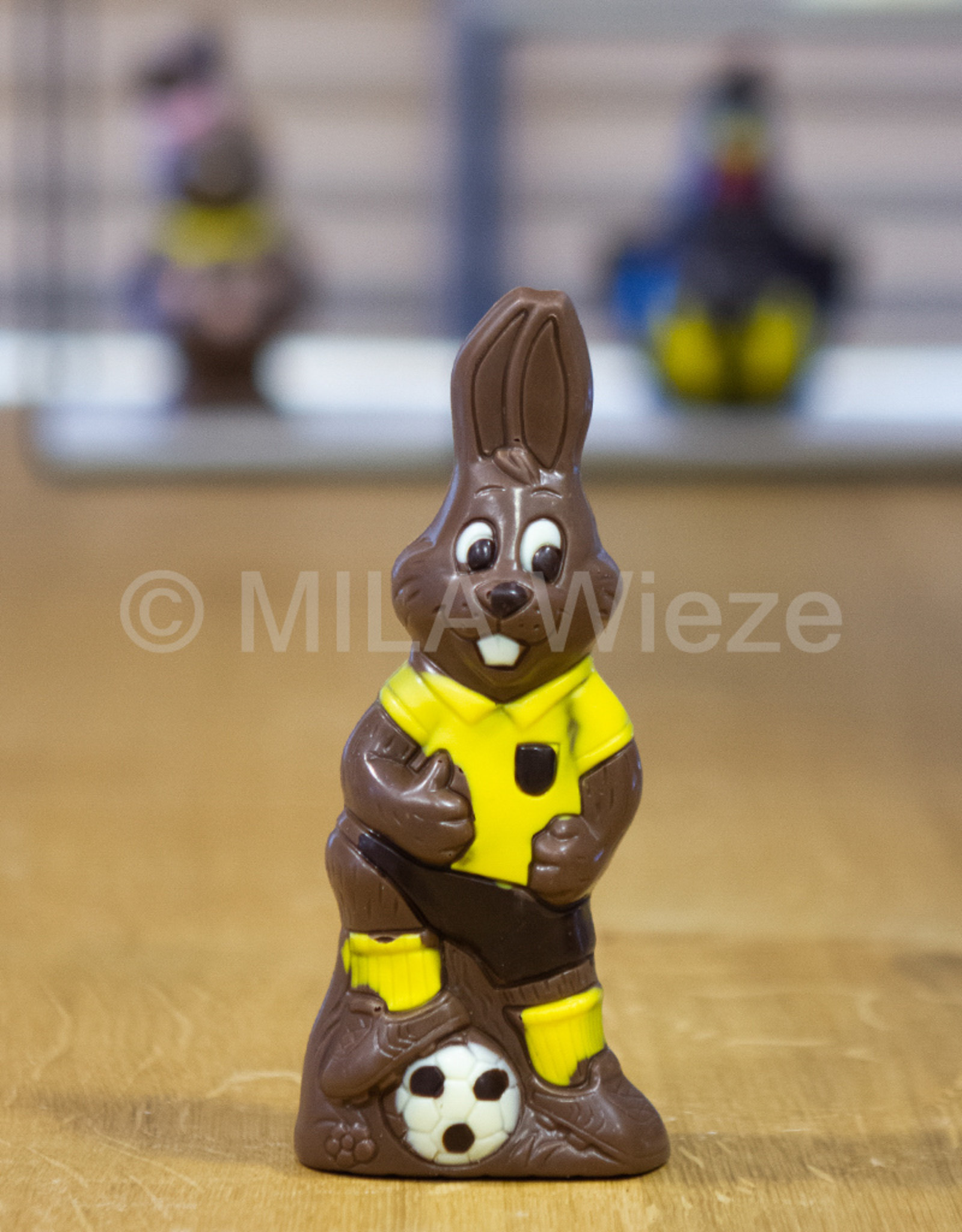 Sporthaasjes - deco - 90 gr