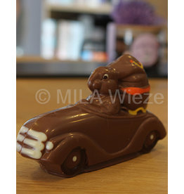 Haas in auto - deco - 125 gr