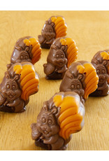 Herfstpraline - eekhoorn melk met praliné vulling - 10 stuks