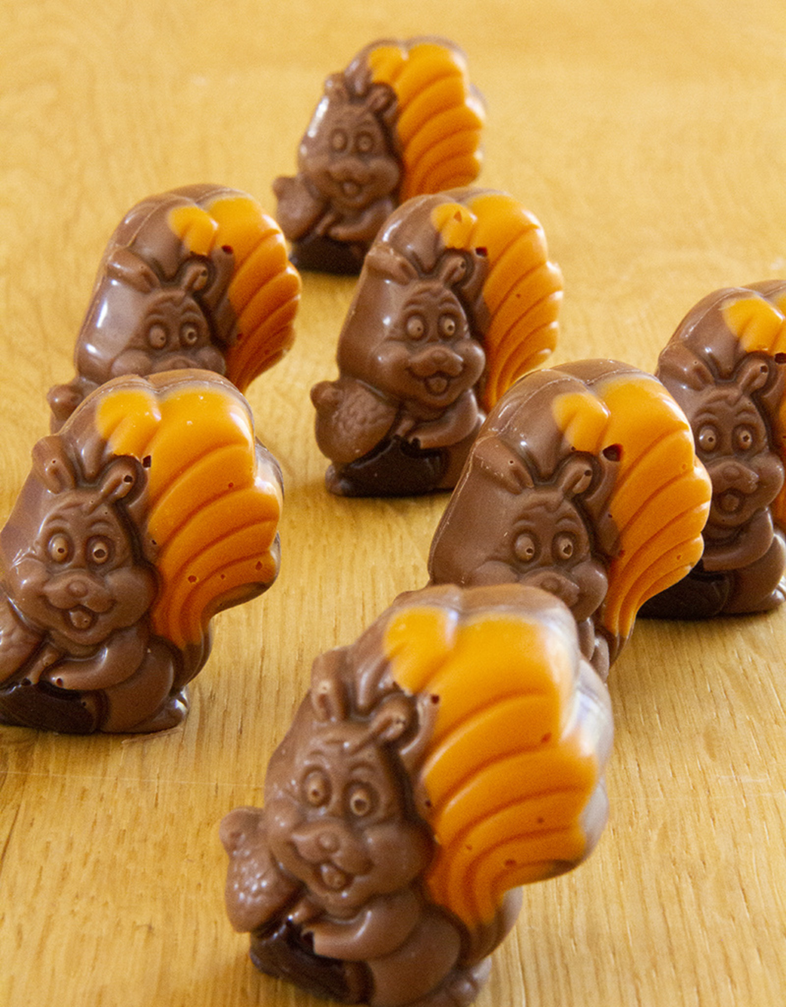 Herfstpraline - eekhoorn melk met praliné vulling - 10 stuks