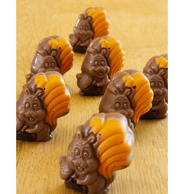 Herfstpraline - eekhoorn melk met praliné vulling -10 stuks