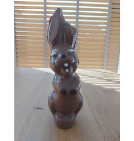 SUIKERVRIJE paashaas melk decoré chocolade 20 cm