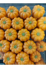 Pompoentjes assorti vullingen , praliné en caramel