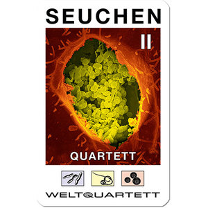 Weltquartett Seuchen II