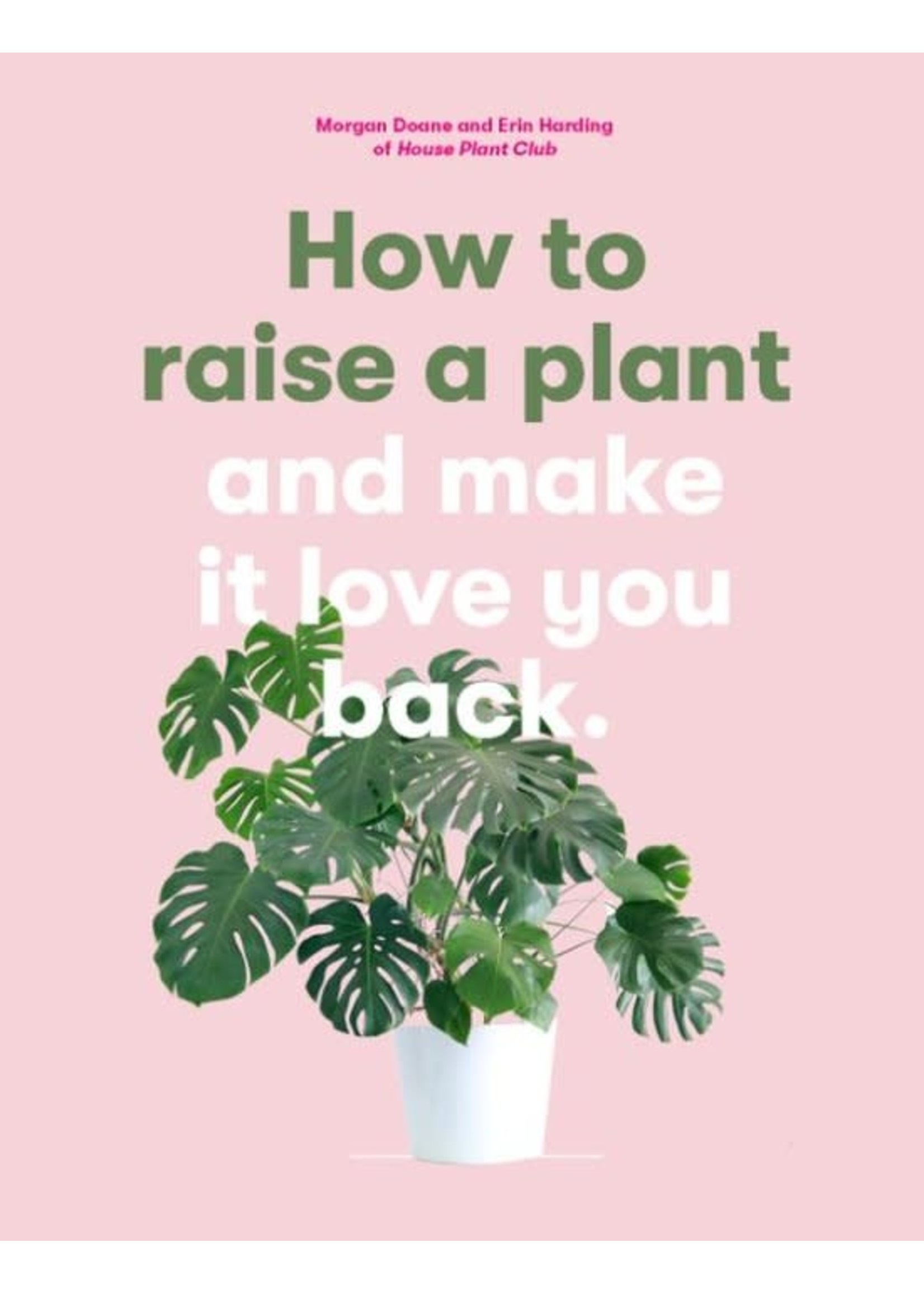 How to raise a plant [eng]