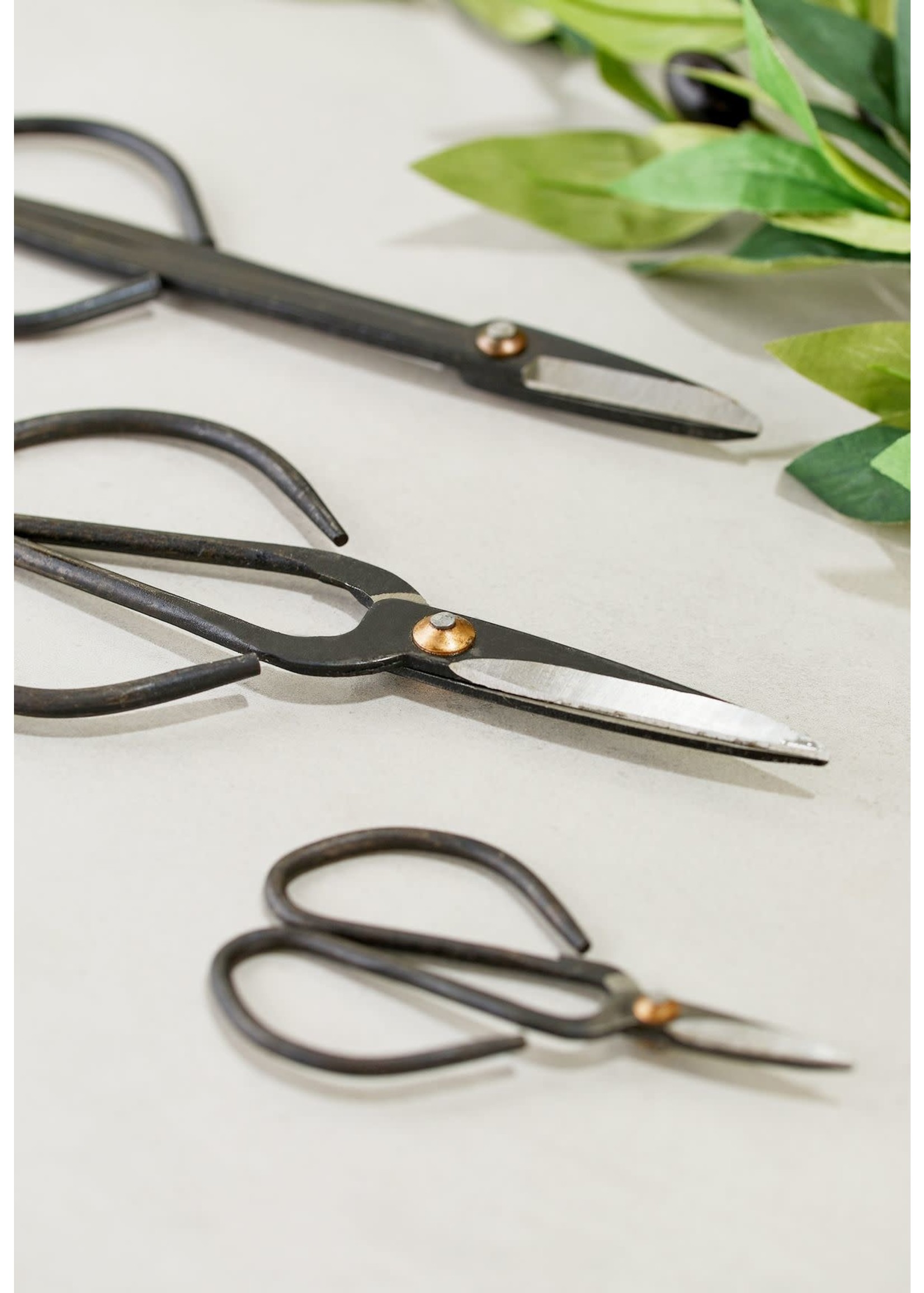 Japanese Plant Scissors long