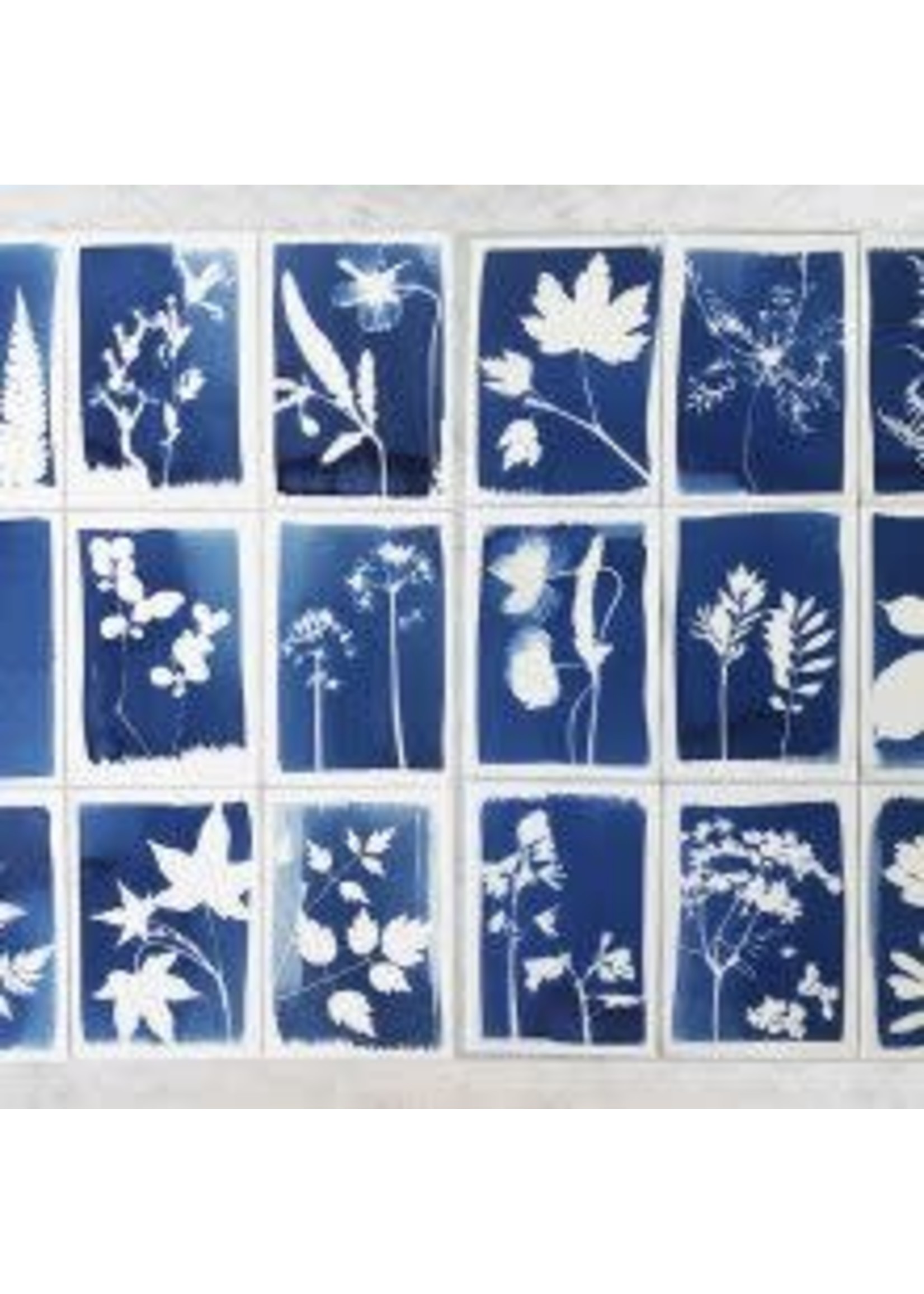 Cyanotype Kit - DIY kit om zelf blauwdruk prints te maken