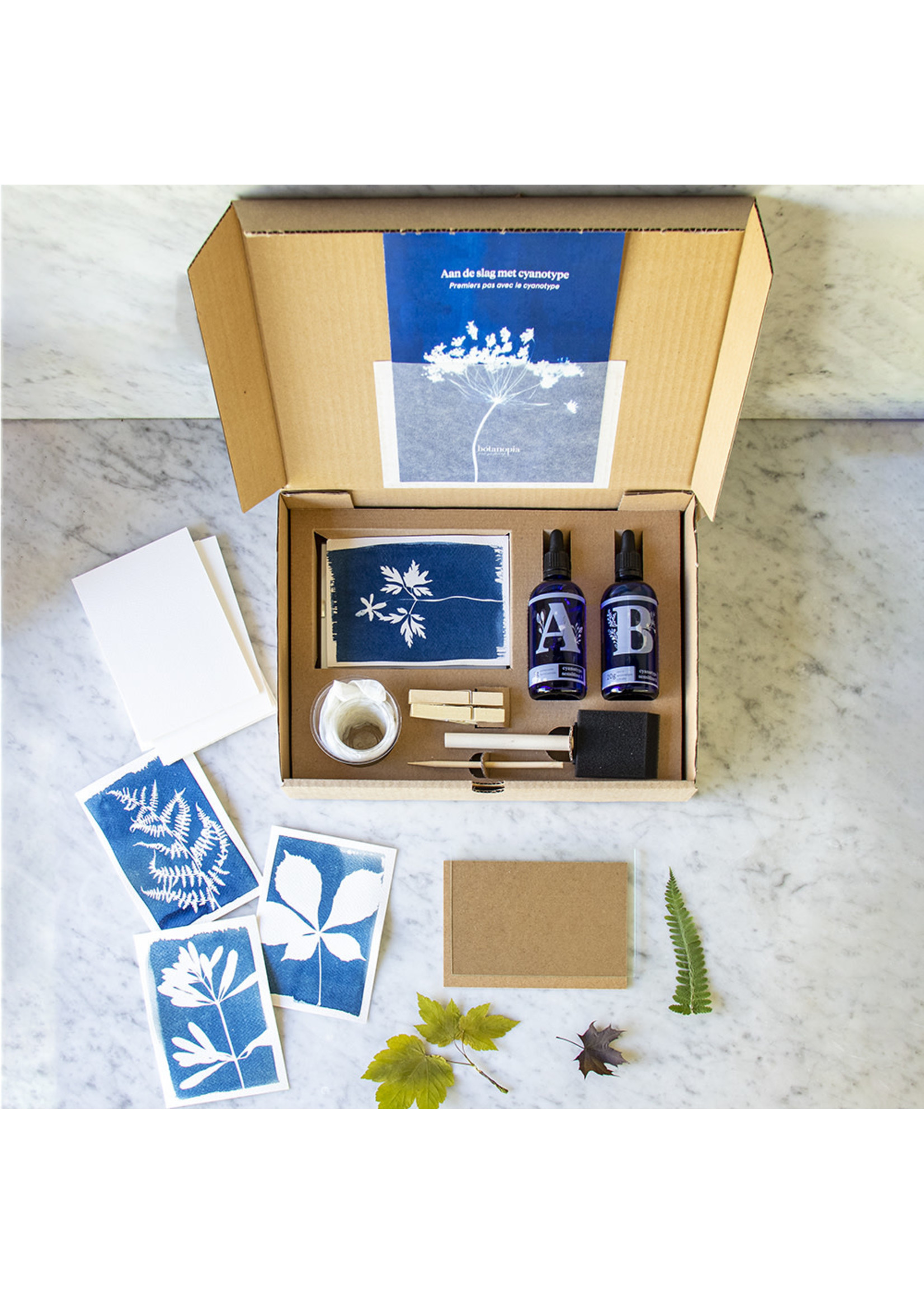 Cyanotype Kit - DIY kit om zelf blauwdruk prints te maken