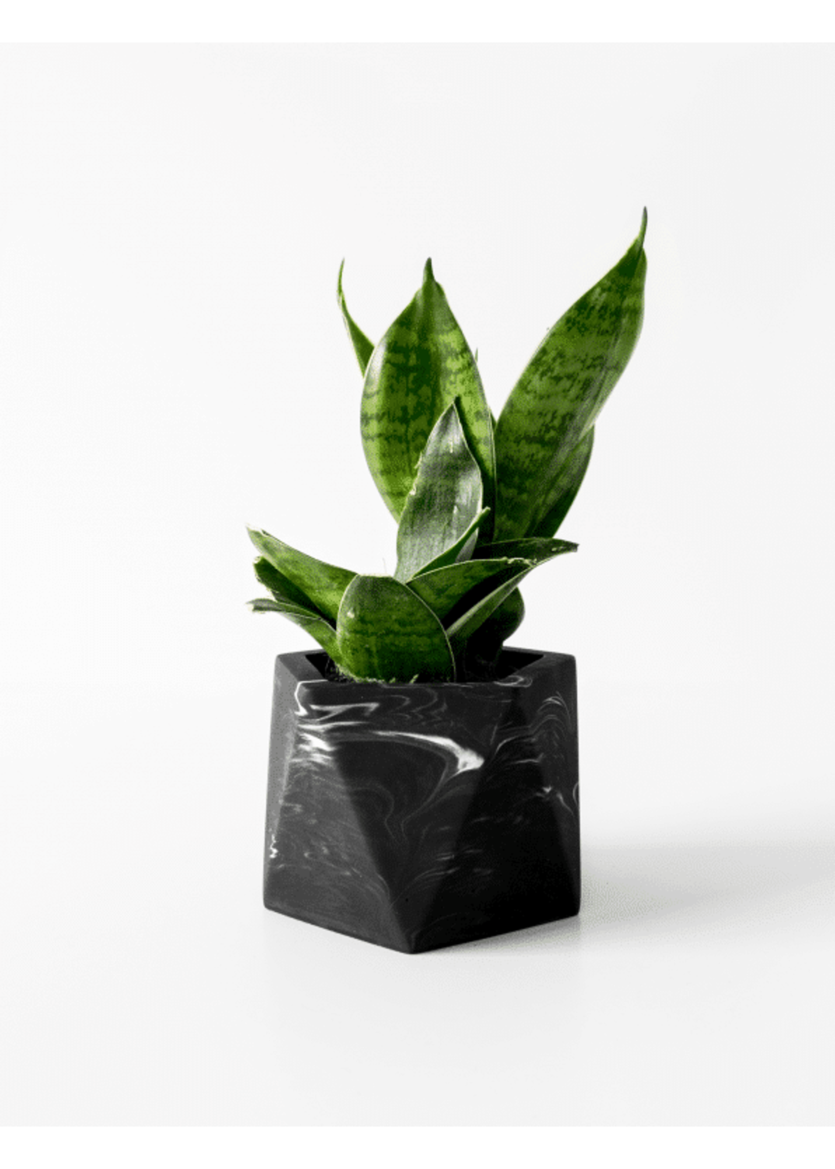 Mare Planter - Medium - Black Marble Ø 5,5 cm