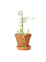 Black Plant Stake Mini - Perch