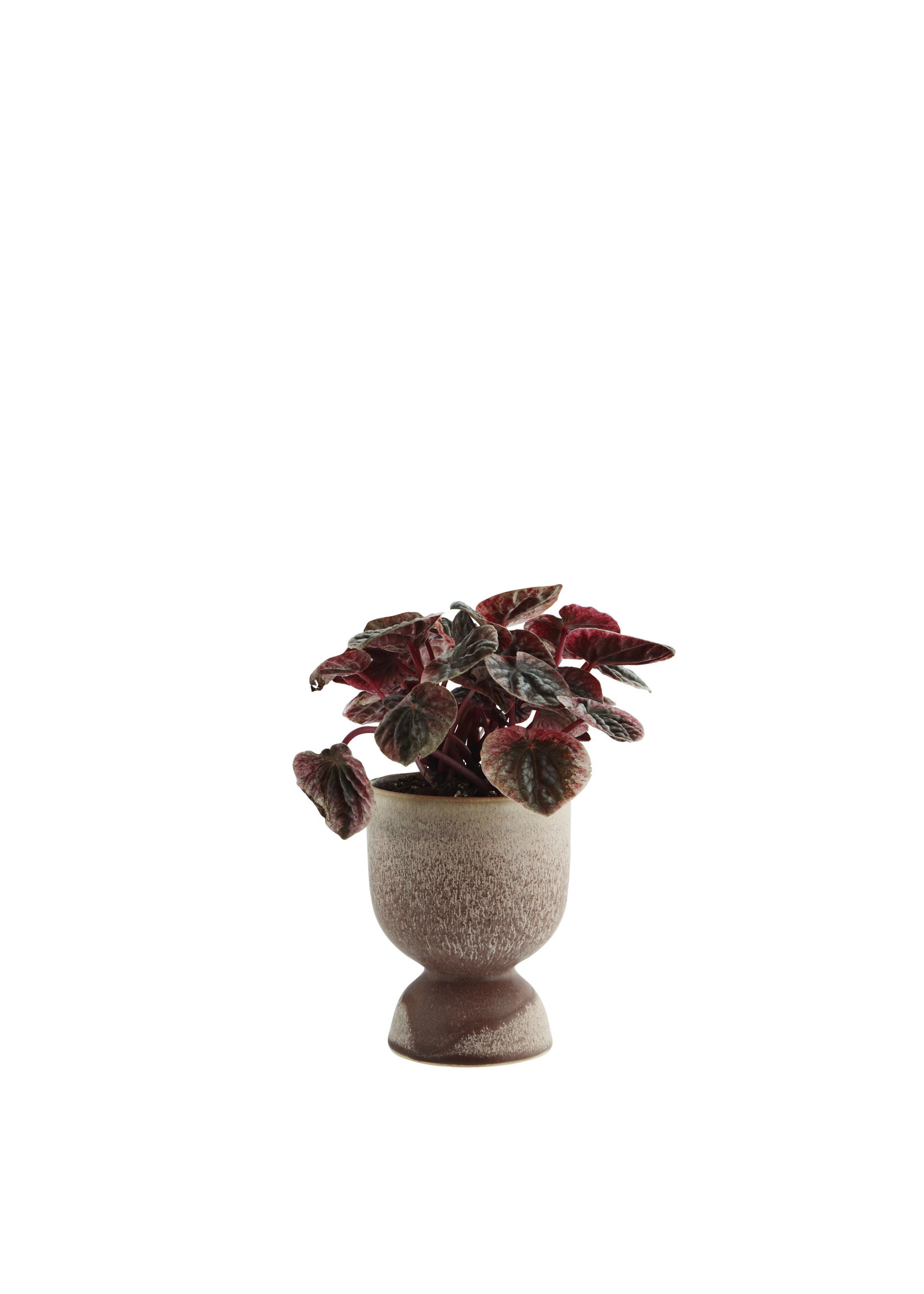 Stenen bloempot Ø10  h14.5 cm - Bruin