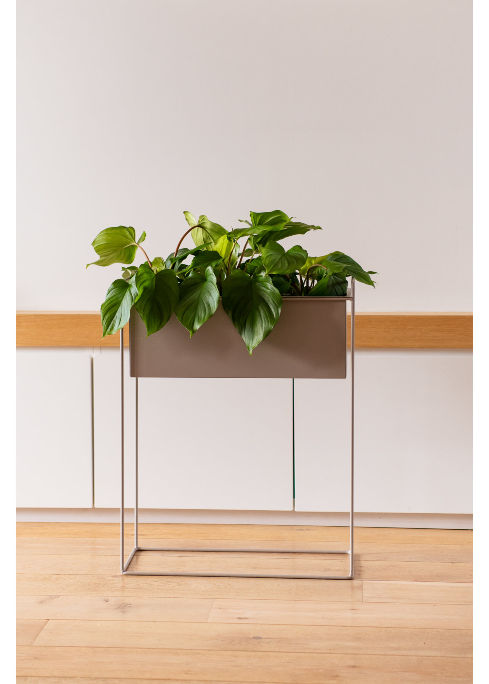 Iron planter on stand L [straight] 51 x 24 x 65cm- Warm grey
