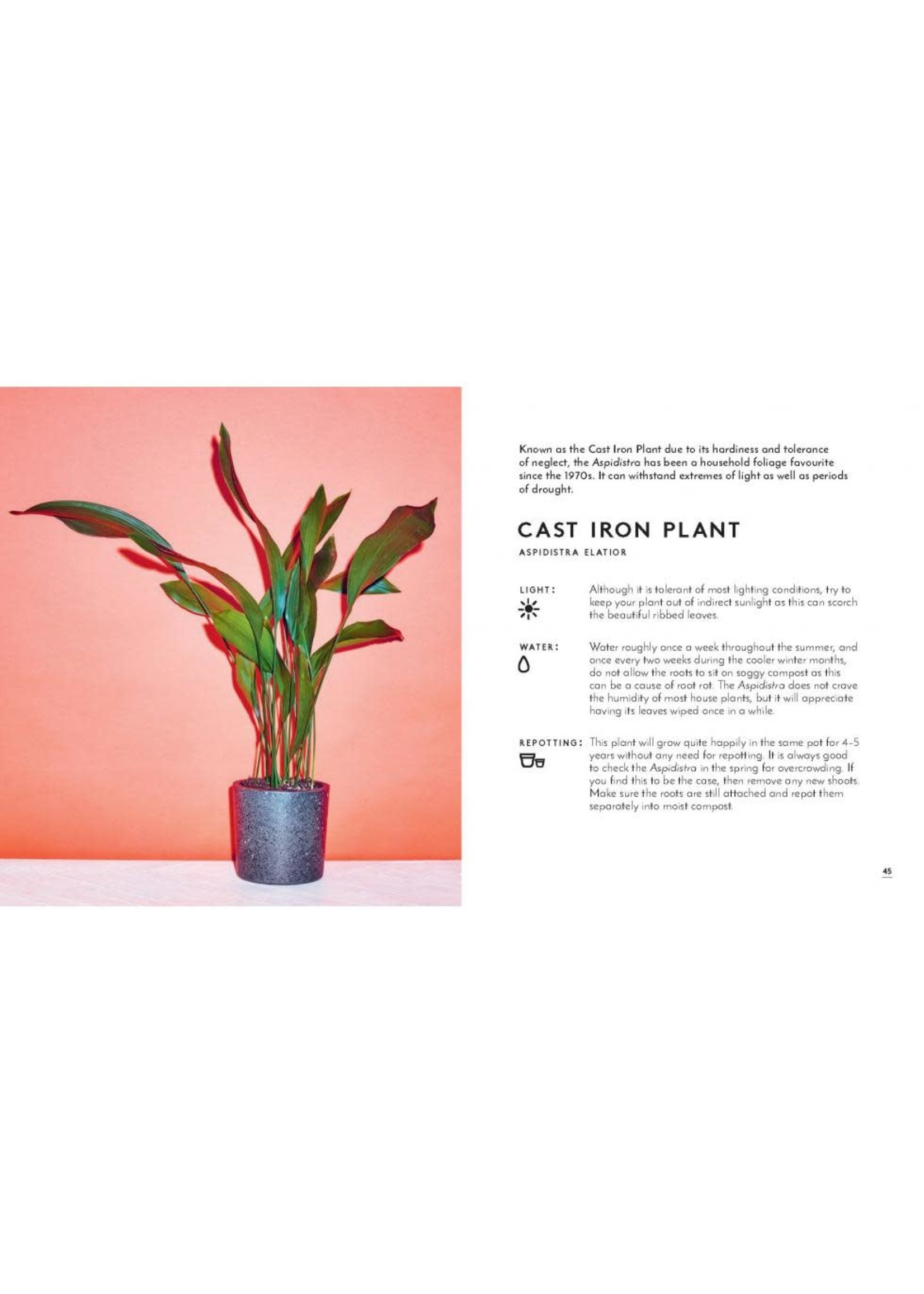 The Little Book of House Plants and Other Greenery [eng]