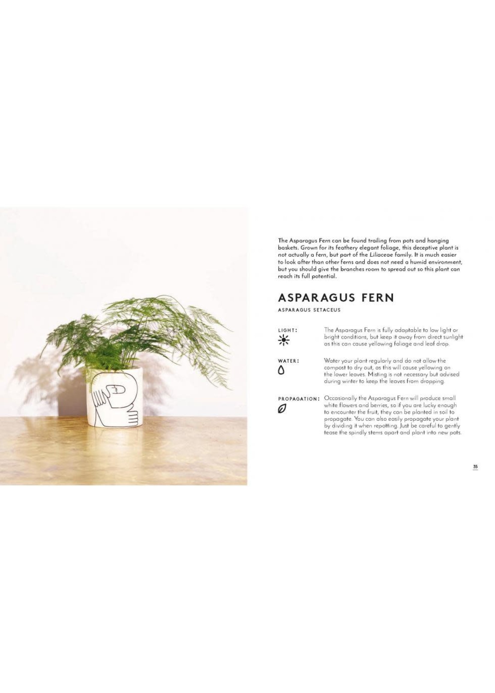 The Little Book of House Plants and Other Greenery [eng]