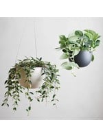 BOOBIES suspendus - hanging pot [large]