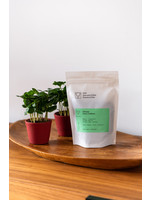 Koffie & Plant Box - Filter (burgundy)