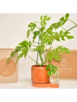 Greenfinity Greenfinity pot with self-watering system Ø12 h11 cm