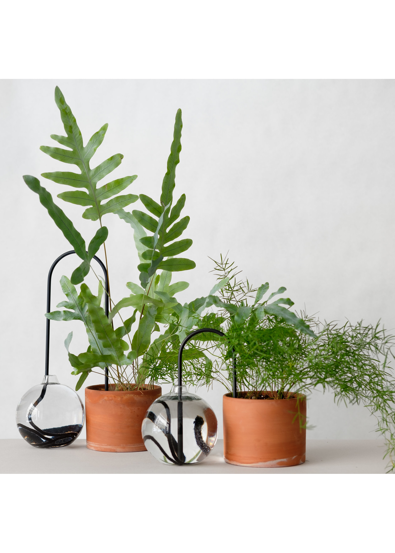 Plantstraws Plant Straws S 20cm - Black