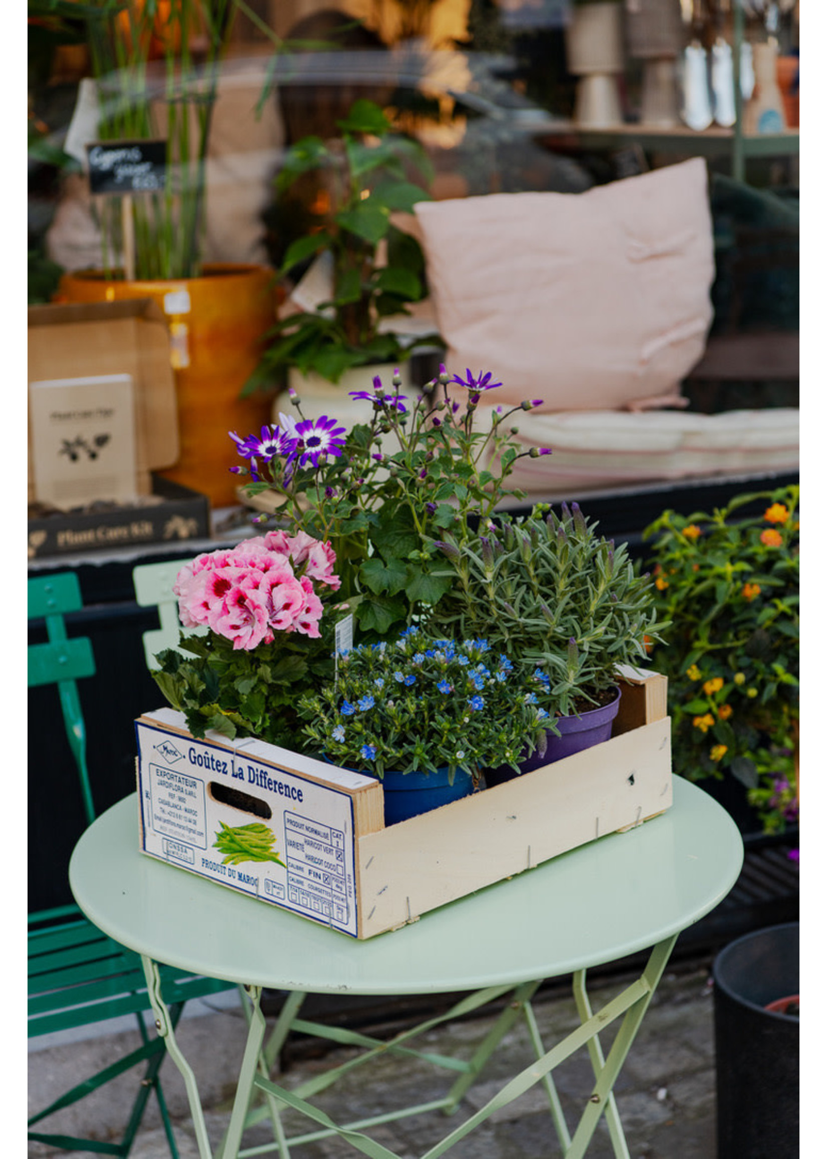 Kickstart your Balcony - Plantenbox