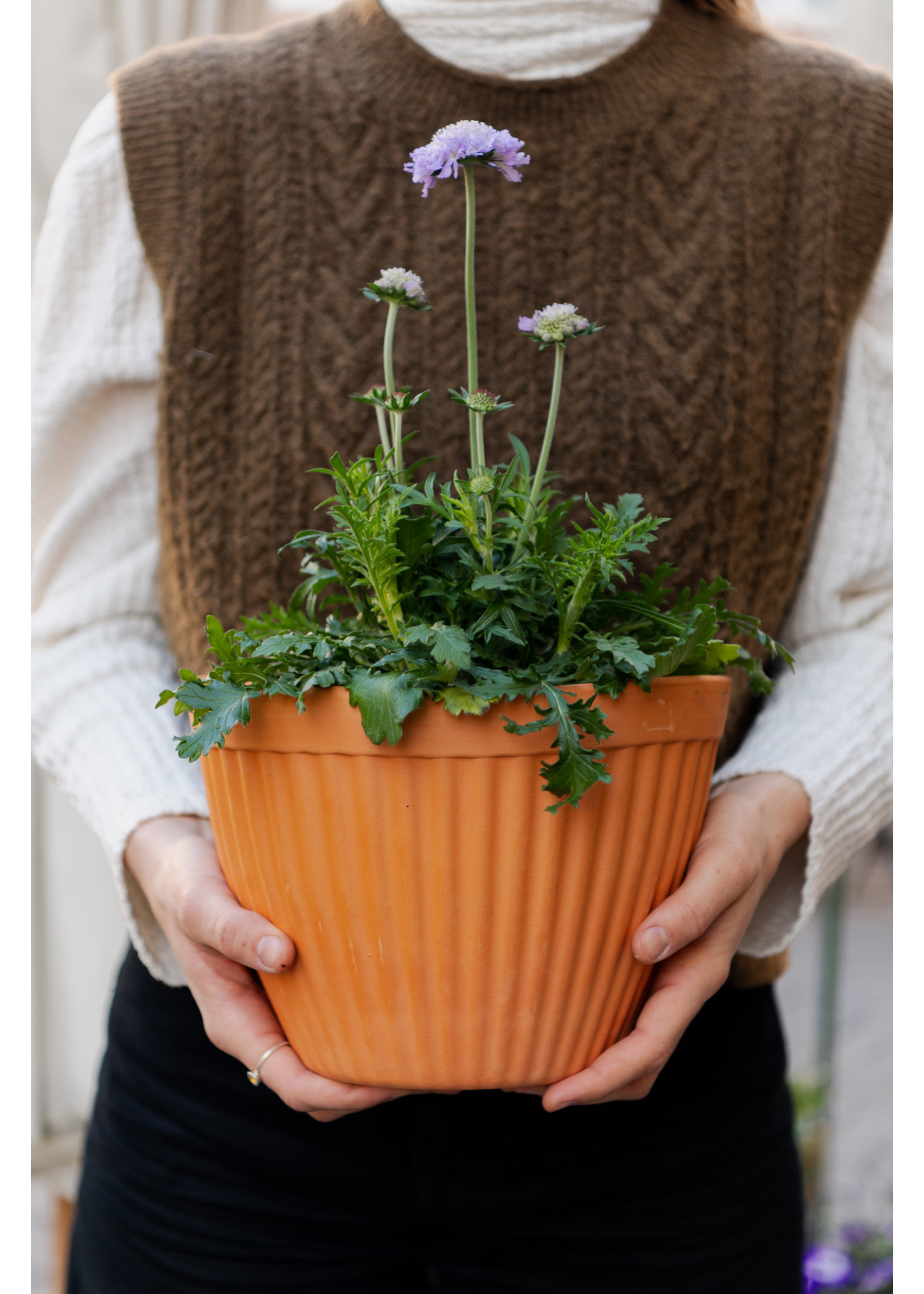 Terracotta hanging pot Ø26 w16 h18 cm