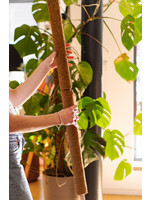 Nature Coco fiber pole - H60 cm x Ø38 mm