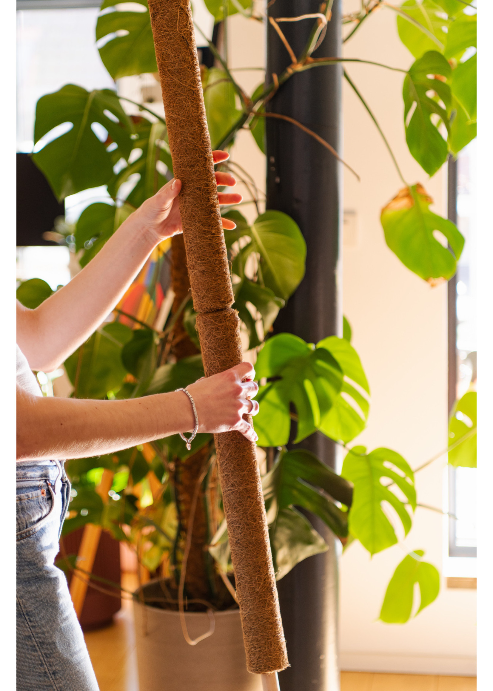 Nature Coco fiber pole - H60 cm x Ø38 mm
