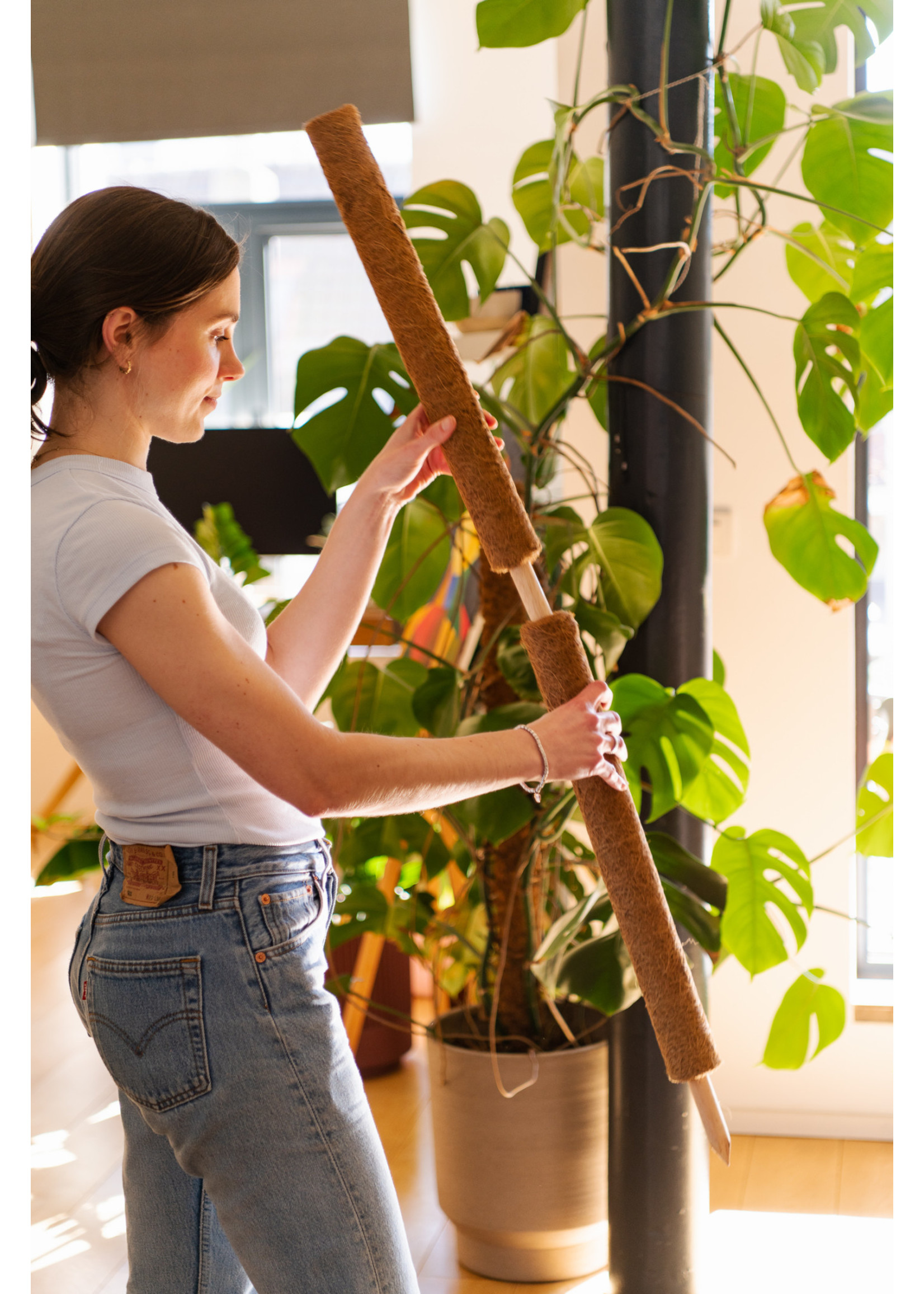 Nature Tuteur en fibres de coco - H60 cm x Ø38 mm