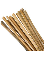 Bamboo Stick 90cm