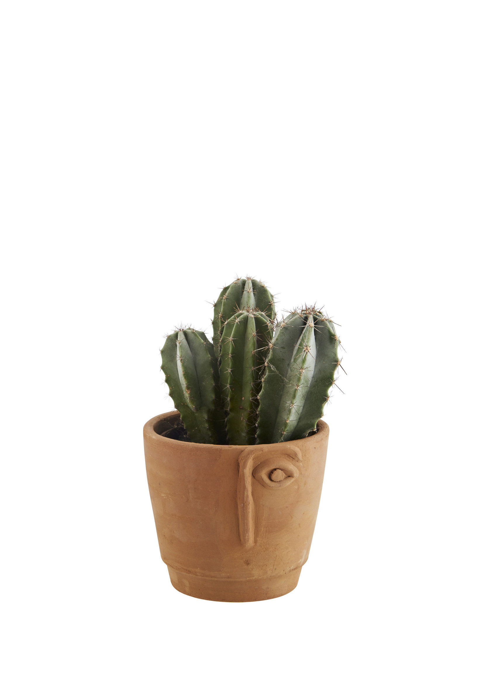 Terracotta flower pot Ø15.5 h14.5 cm - Brown half face