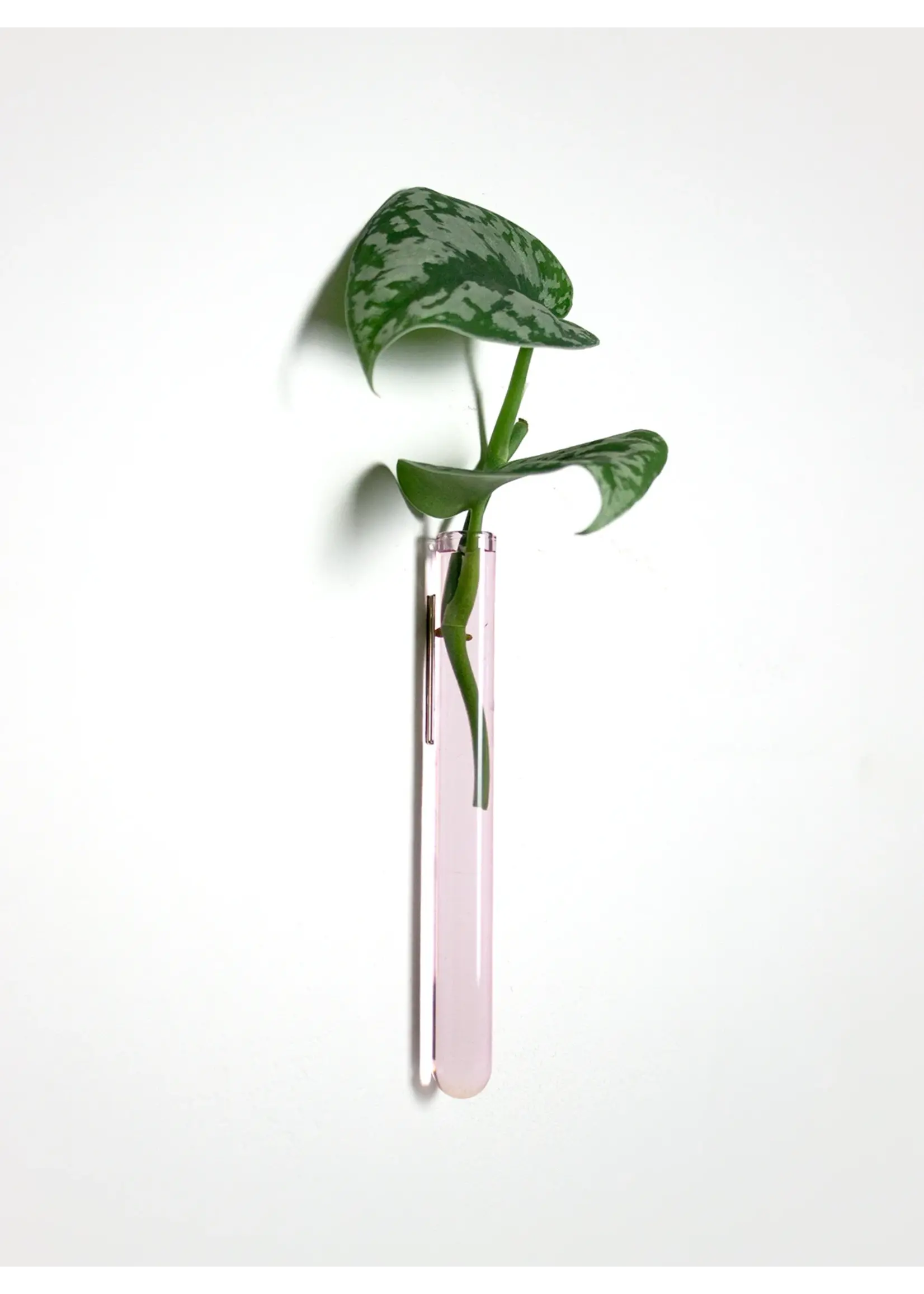 Muurbloempjes - 1 planthanger - Pink glass