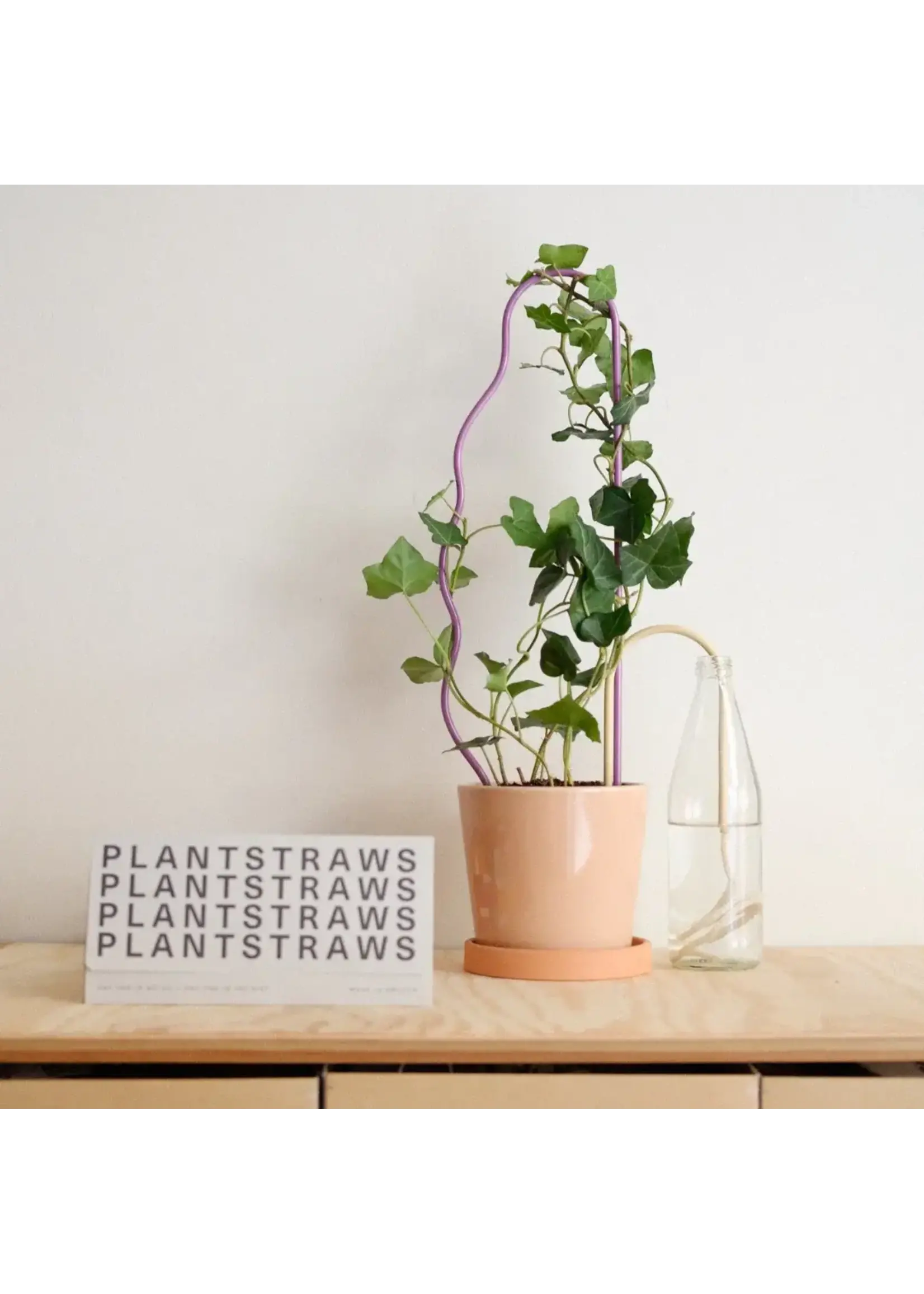 https://cdn.webshopapp.com/shops/299784/files/430688271/1652x2313x2/plantstraws-plantstraw-original-20-cm-beige.jpg