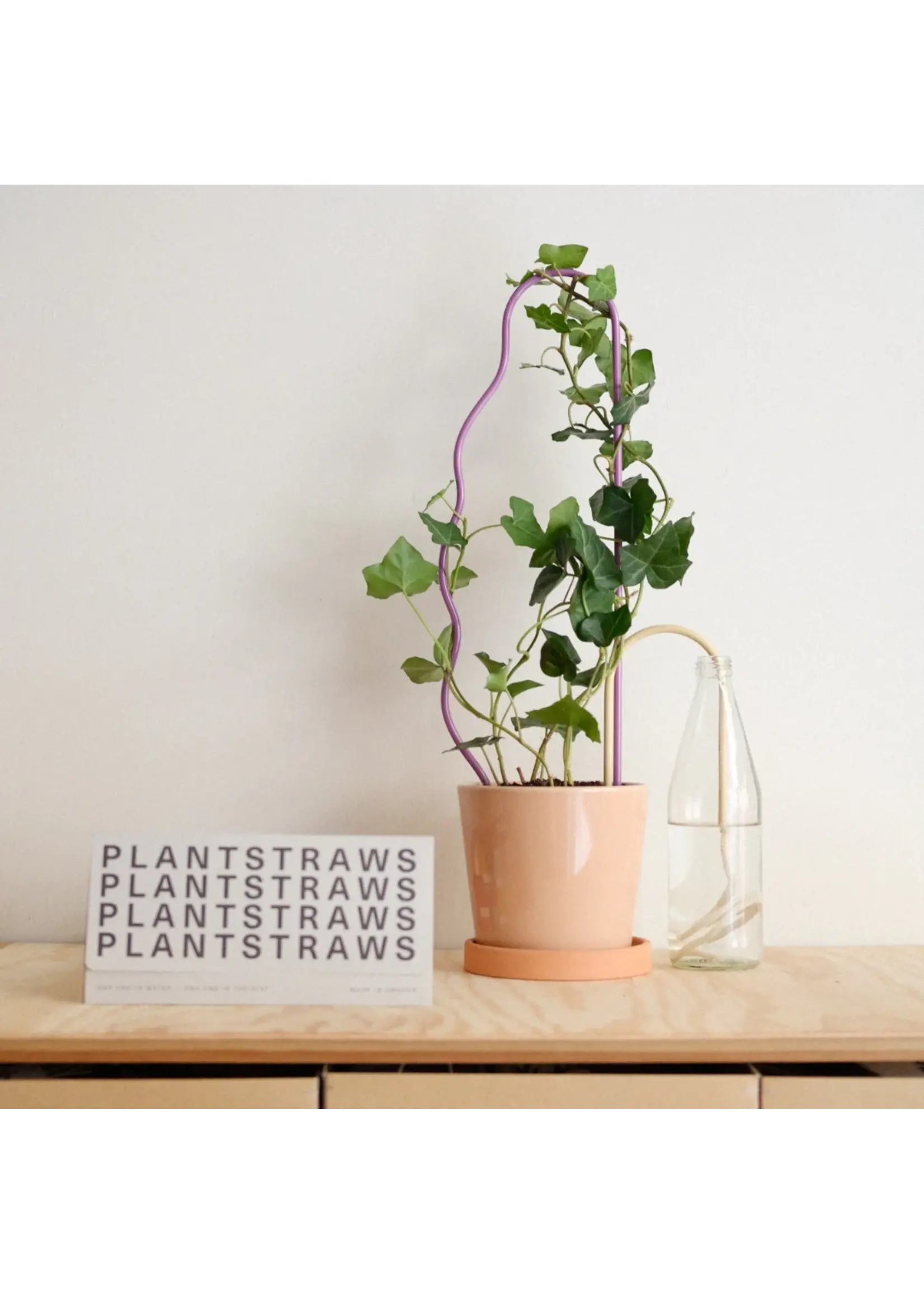 Plantstraws Plantstraw original 30 cm - Beige