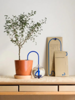 Plantstraws Plantstraw original 20 cm - Blauw