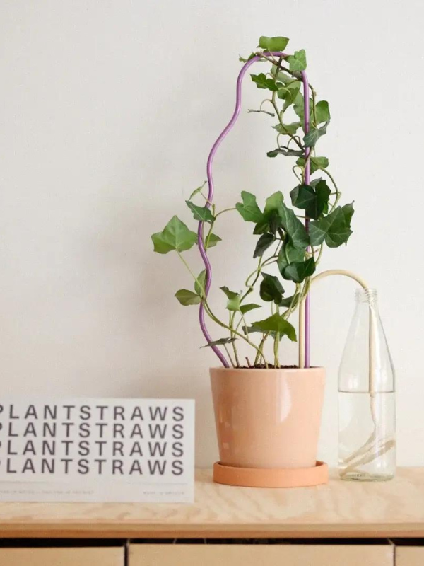 What is a plant straw? – plantstraws