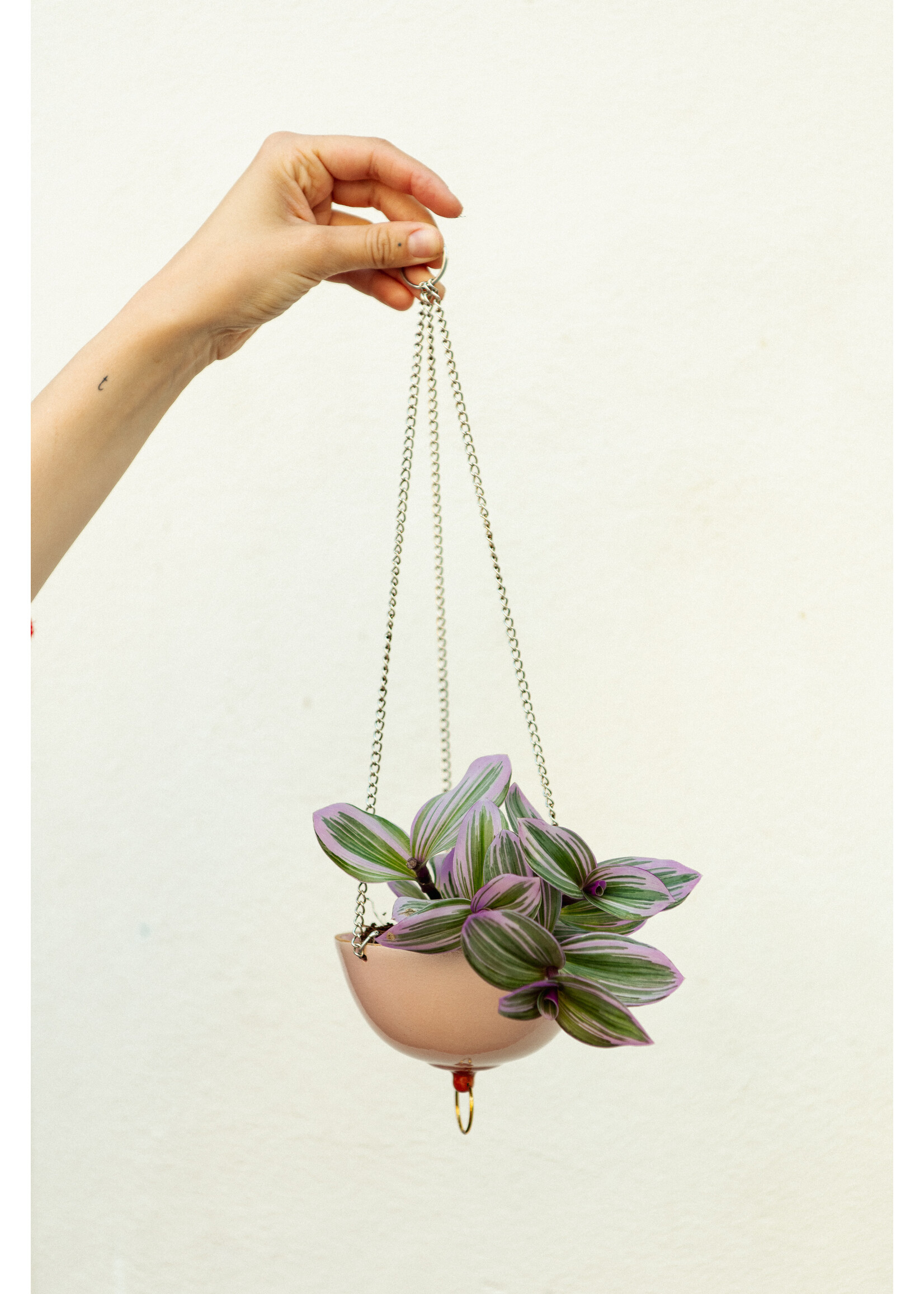 BOOBIES ceramics BOOBIES suspendus - hanging pot [small]