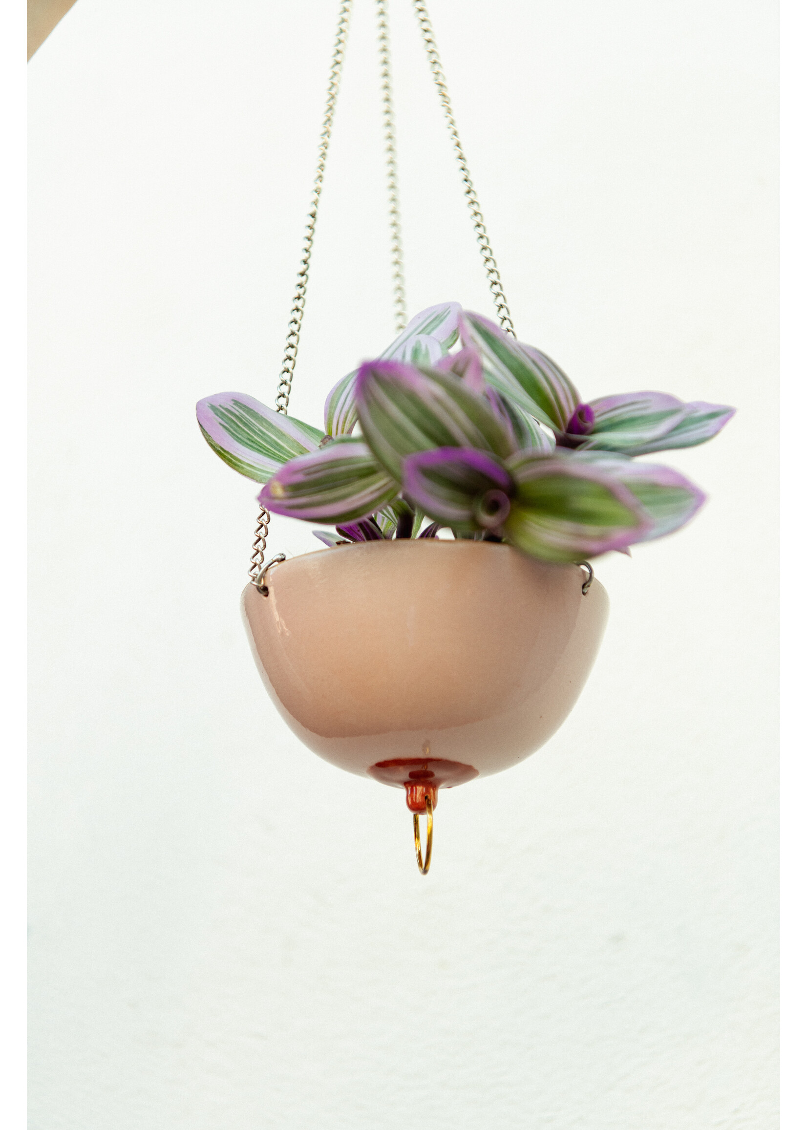 https://cdn.webshopapp.com/shops/299784/files/433934252/1652x2313x2/boobies-ceramics-boobies-suspendus-hanging-pot-lar.jpg