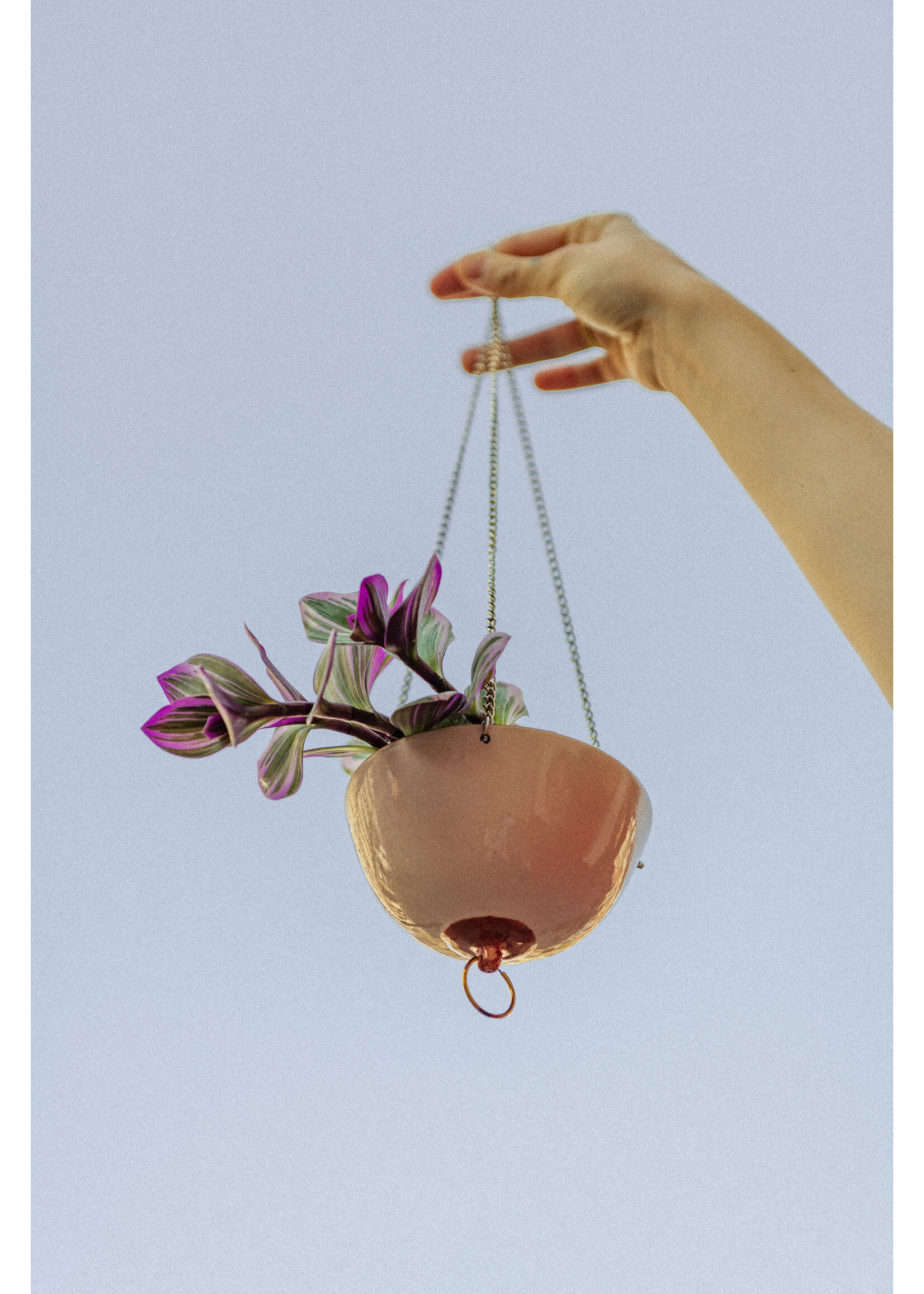 https://cdn.webshopapp.com/shops/299784/files/433934268/1652x2313x2/boobies-ceramics-boobies-suspendus-hanging-pot-lar.jpg