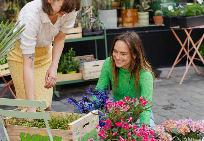 ETE & vacances - comment vous occuper au mieux de vos plantes en cette saison ? 