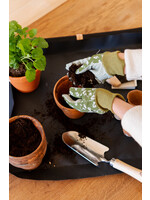 REPOTTING CAFE - de retour en mars!