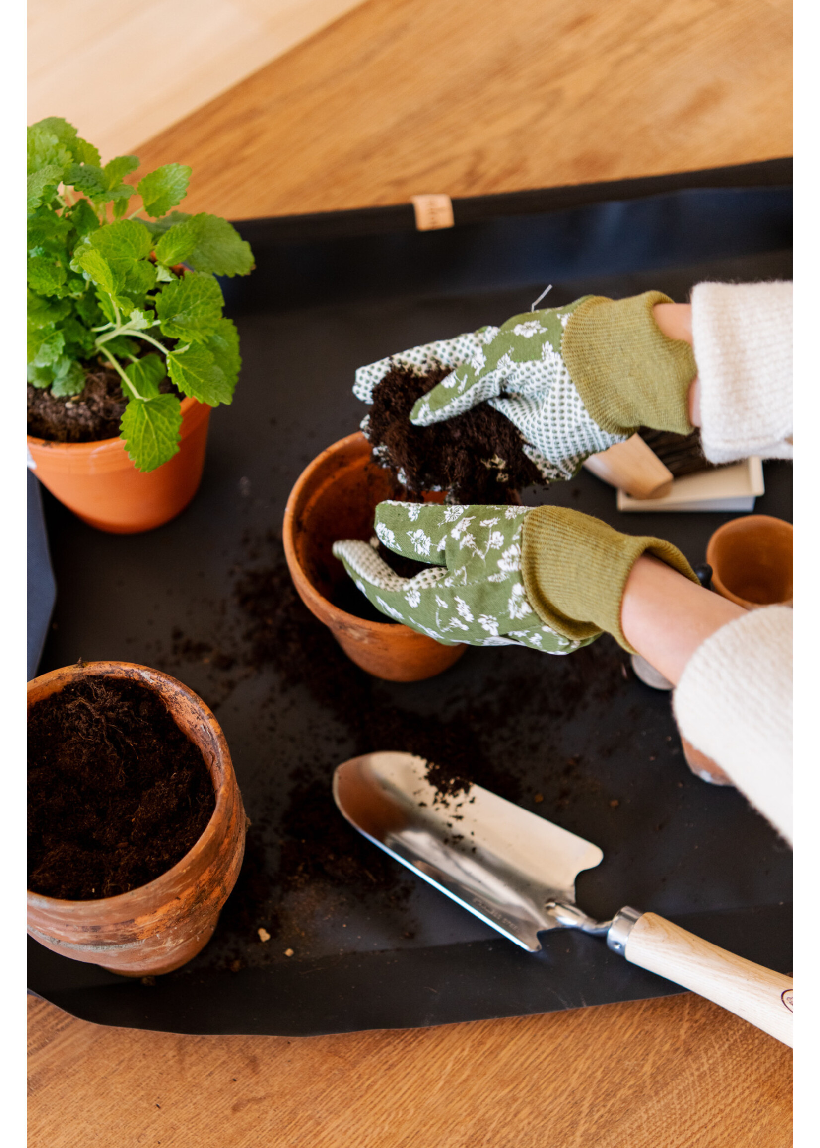 REPOTTING CAFE - terug in maart!