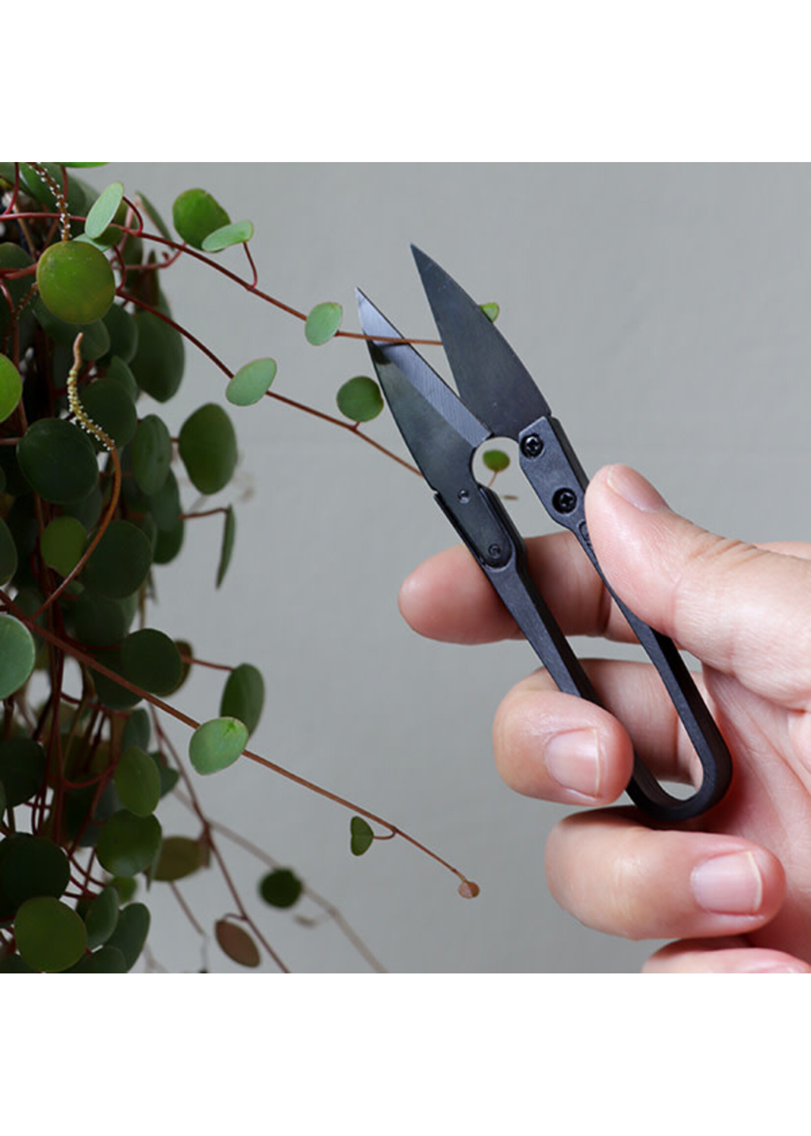 The Good Snips - Bonsai pruning shears