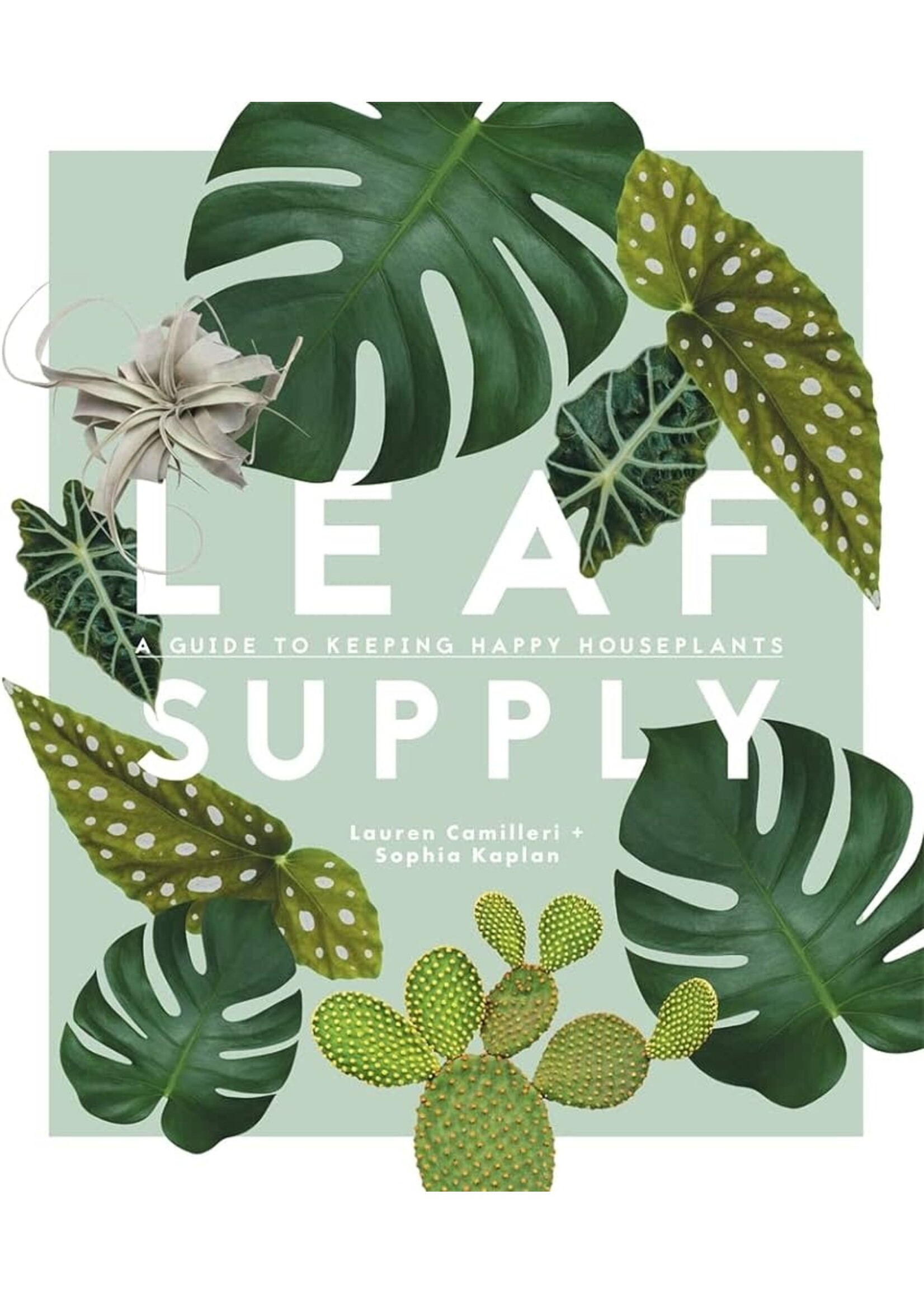 Leaf Supply - A guide to keeping happy house plants [ENG]