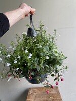 Mixed flower basket outdoor Ø25 h55